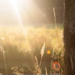 Sarah Lim Mei Ling